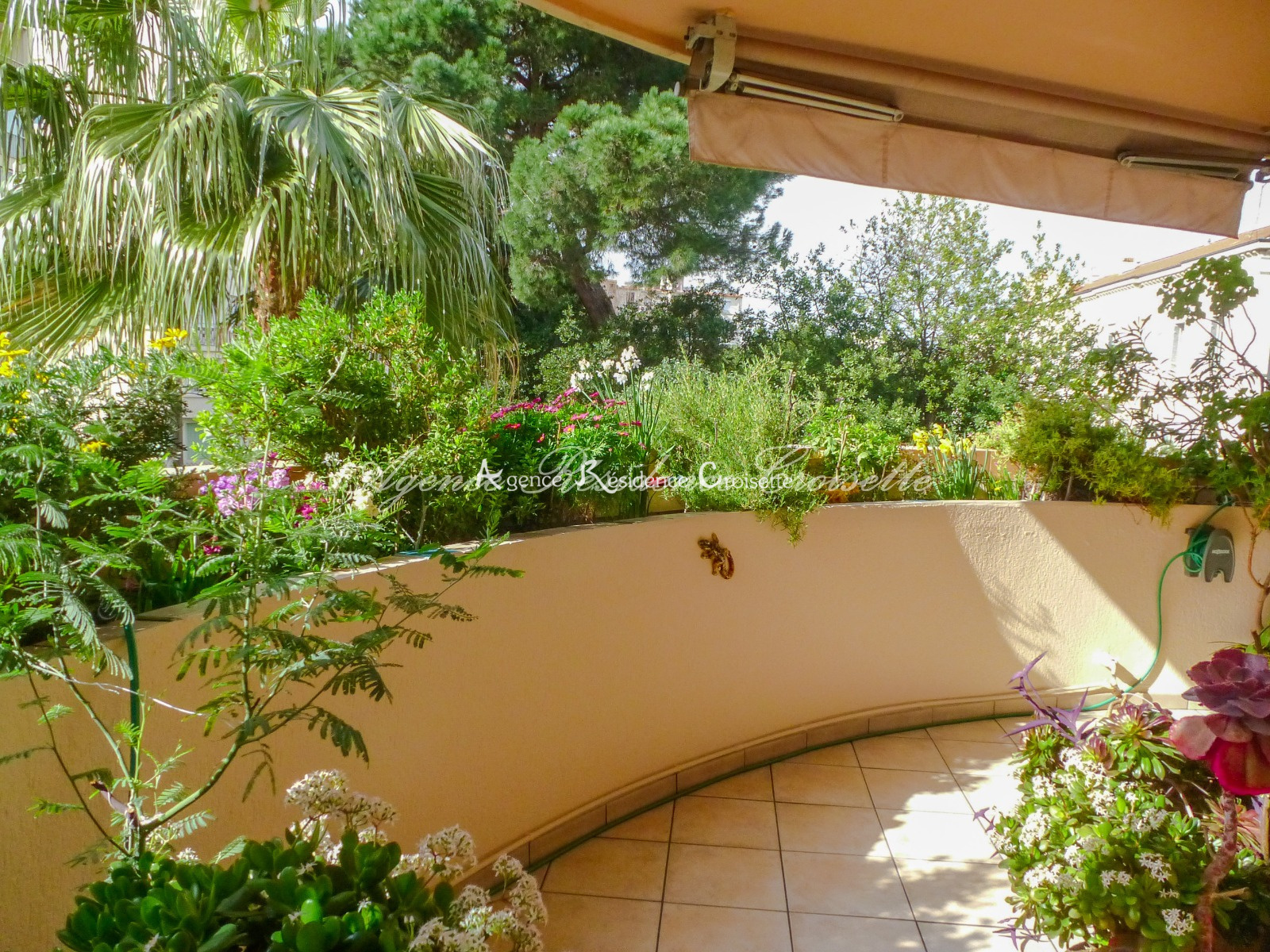 Image_1, Appartement, Cannes,
                                ref :4532